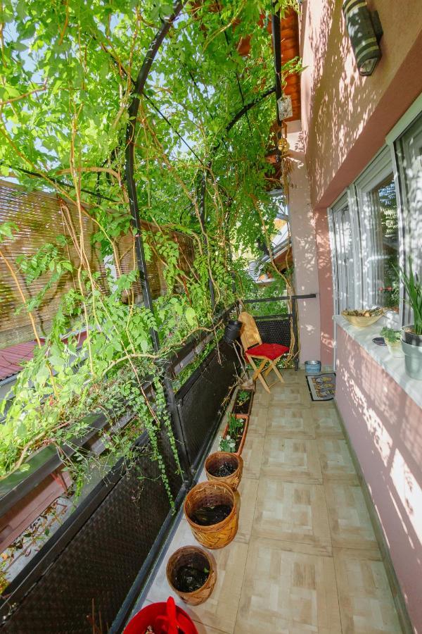 Apartman Zamak 솜보르 외부 사진